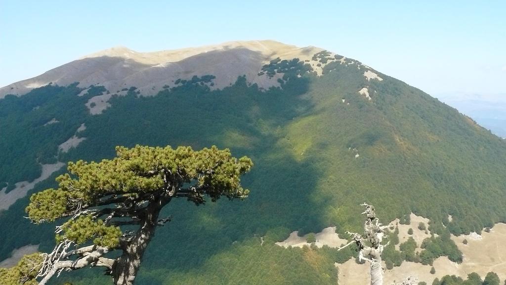 Il Belvedere Чивита Экстерьер фото