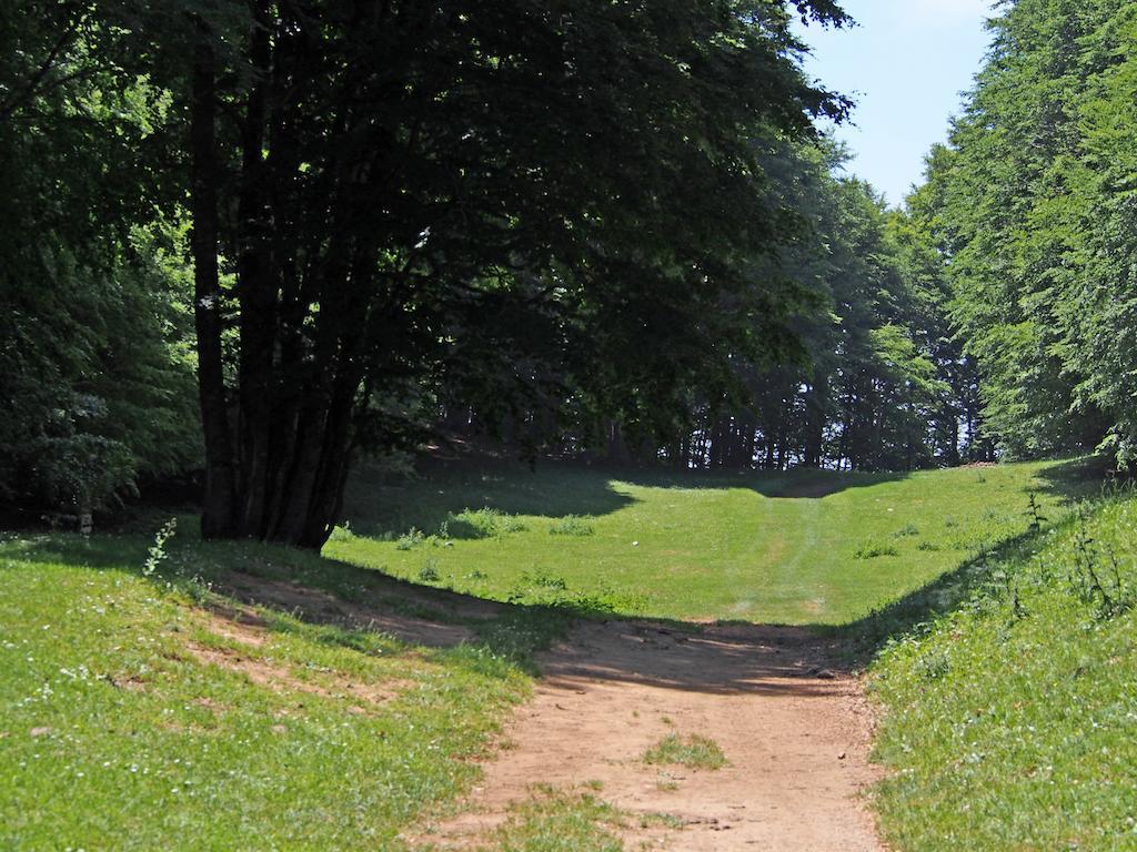 Il Belvedere Чивита Экстерьер фото