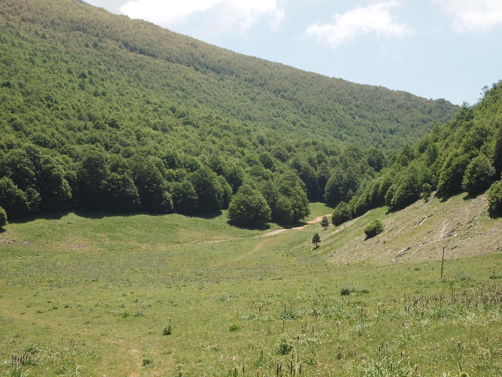 Il Belvedere Чивита Экстерьер фото